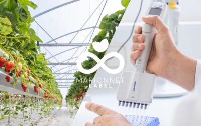 Lancer Marionnet Label en s’appuyant sur une nouvelle plateforme de marque