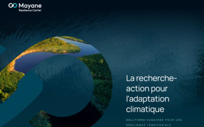 Relancer la croissance chez Mayane en identifiant les frictions pour déployer les bons outils