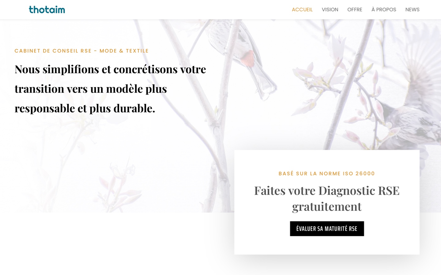 Création site web pour le Cabinet Thotaim